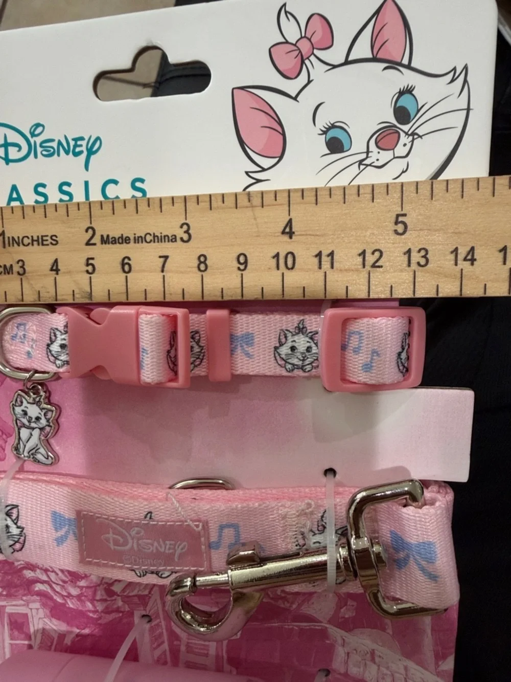 Disney dog walk